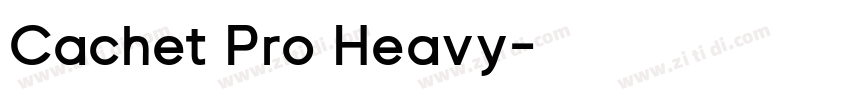 Cachet Pro Heavy字体转换